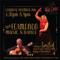 Flyer for Basilio Georges and Aurora Reyes performing at Villa. Lobos Tapas Bar Freeport NY, on 11/20/21 at 6:30 pm and 8:00 pm